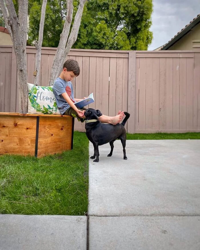 How to Build a Kids' Tree Bench - True Value Hardware