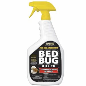 Bedbug Control
