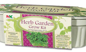Seeds & Seed Kits