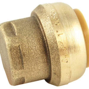 Caps & Plugs