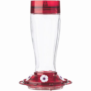 Hummingbird Feeders