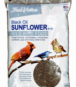 Black Oil Sunflower Seed