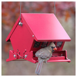 Hopper Feeders