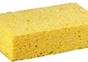 Sponges