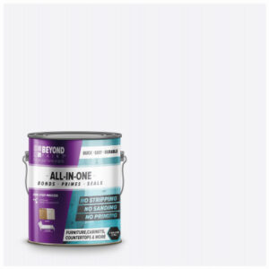 Cabinet & Countertop Paint