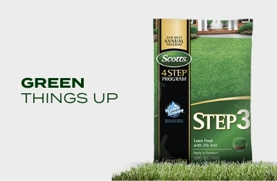 green things up