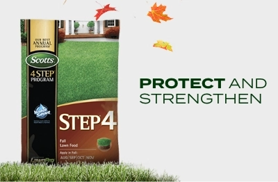Protect and strengthen