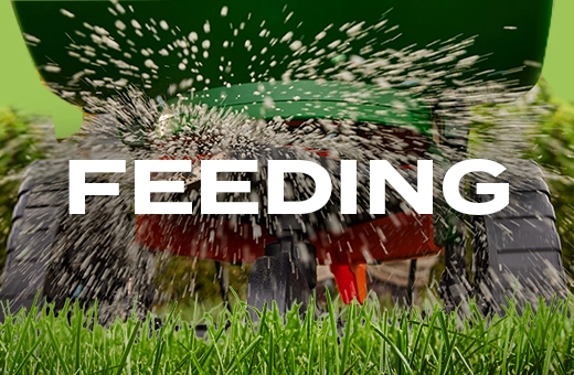 feeding