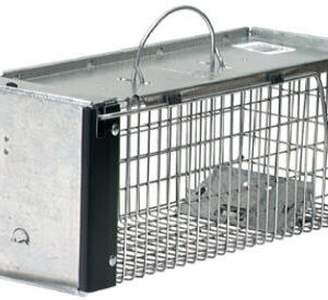 Animal Traps