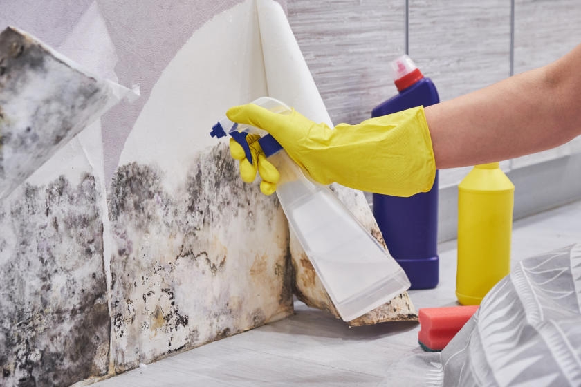 How to Clean Mold off Wallpaper in Bathroom: Easy Steps