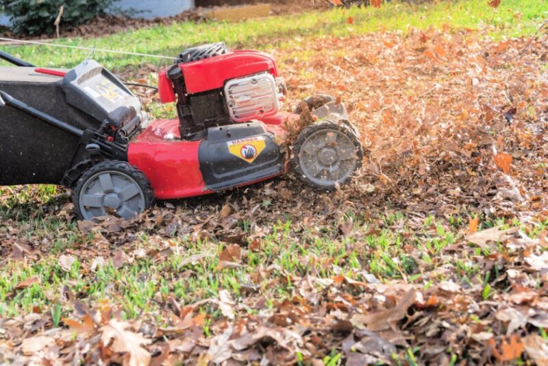 The Ultimate Guide on Fall Lawn Care in 3 Steps