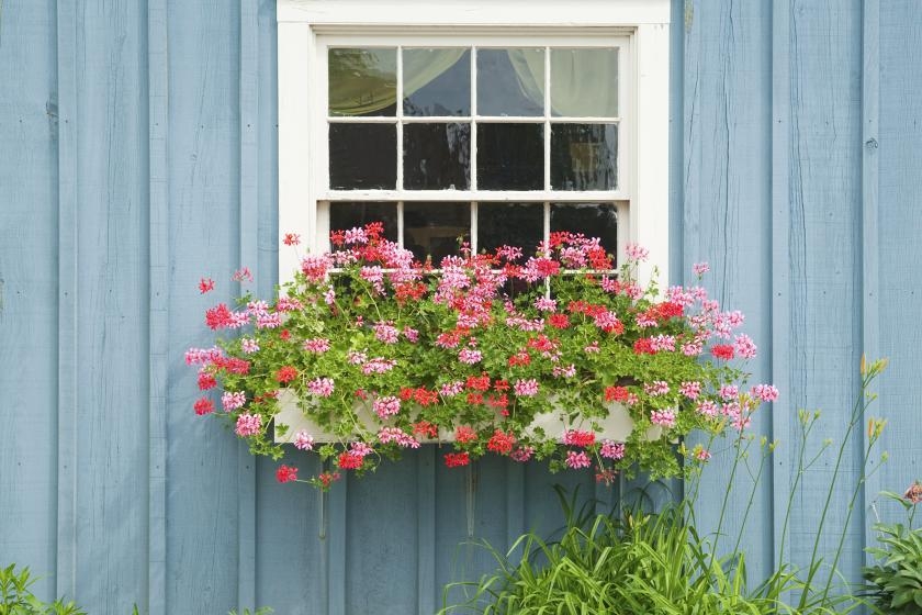 How to Build a DIY Window Planter