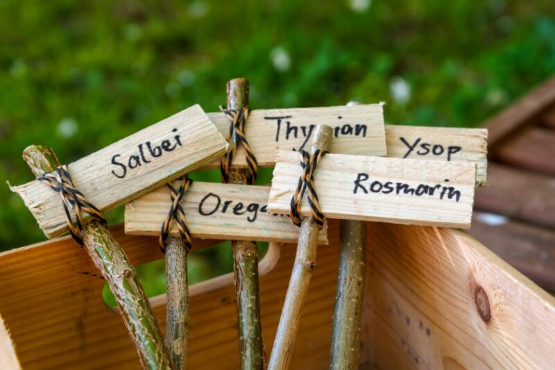 Organize Your Garden with Plant Markers & Signs