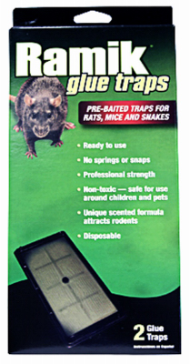 Rat Glue Board, 2-Pk.