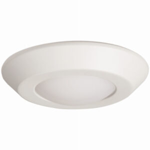 LED Surface Mount Light, 4-In.
