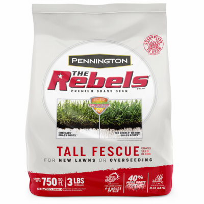 Rebel Fescue Grass Seed, 3 Lbs.