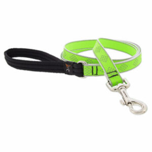 Dog Leash, Reflective Green Diamond Pattern, 3/4-In. x 6-Ft.