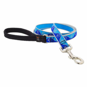 Dog Leash, Reflective Blue Paws Pattern, 3/4-In. x 6-Ft.