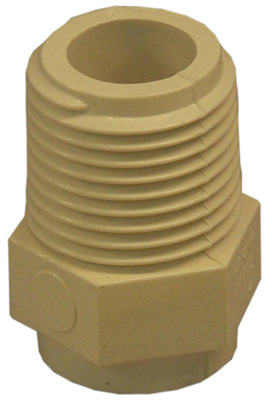 CPVC Pipe Adapter, 1/2 In. MPT