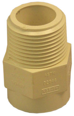 CPVC Pipe Adapter, 3/4 In. MPT