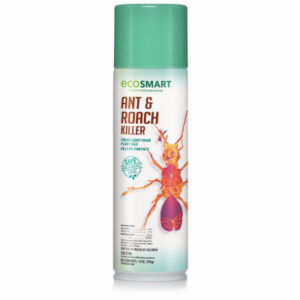 Ant & Roach Killer, 14-oz. Aerosol