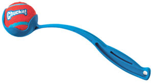 Sport Ball Launcher