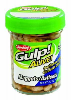 Alive Maggots Fish Bait, 2.2 oz.