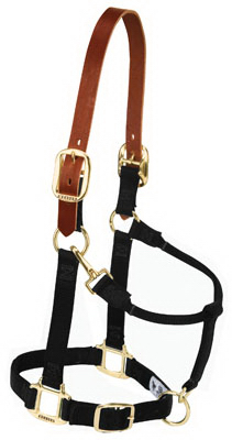 Snap Halter, Black, 1 In., Small/Weanling Horse