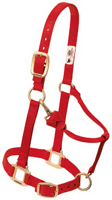 Snap Halter, Red, 1 In., Large Horse