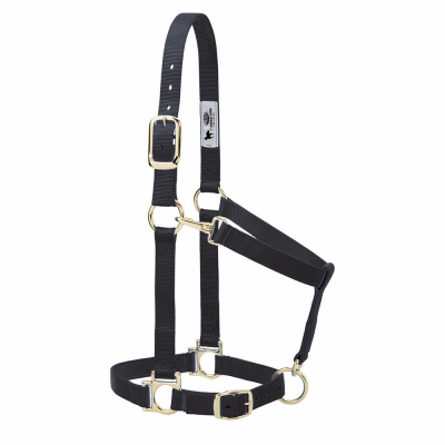 Nylon Horse Halter, Adjustable, Black, Large