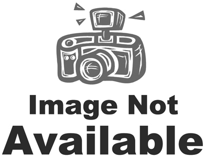 Paint Roller Frame, 9 In.
