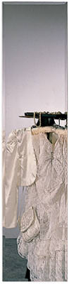 Rectangle Frameless Door Mirror, 14 x 54-In.