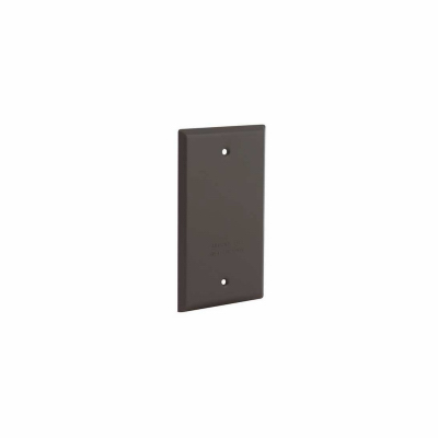 1-Gang Weatherproof Blank Cover, Vertical/Horizontal, Bronze