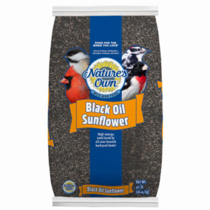 Black Oil Sunflower Seed Wild Bird Food, 40 Lb. Bag