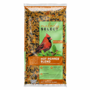 Hot Pepper Spicy Wild Bird Food, 9 Lb.