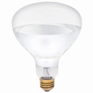 Heat Lamp, Flood Beam, Dimmable, R40, Clear, 125-Watts