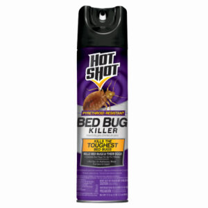 Bed Bug Killer, 17.5 oz. Aerosol