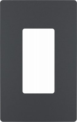 One-Gang Screwless Wall Plate, Graphite