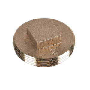 Raised Head Plug, 2 In.