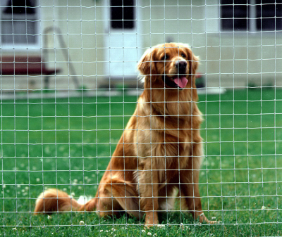 Garden and Kennel Woven Fence, 48 x 100
