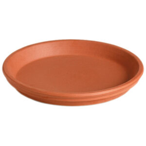 Clay Saucer, Terra Cotta, 5 In. Dia.