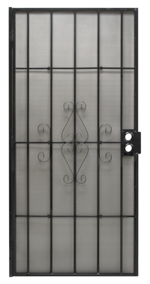 Regal Series Security Door, Black Steel, 34.5 x 81.5-In.