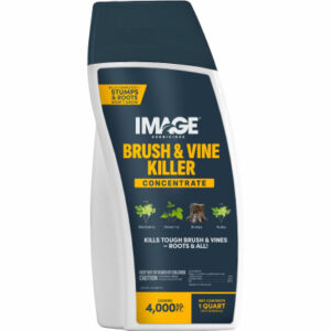 Image Brush & Vine Killer, Covers 1,000-Sq. Ft., Qt.