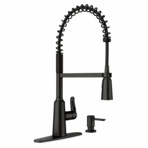 Edwyn Single Handle, High Arc Kitchen Faucet, Pull-Down Spray, Matte Black