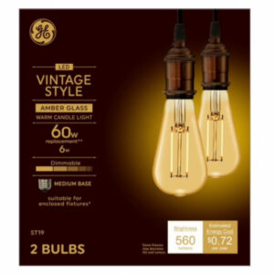 LED Vintage Light Bulb, ST19, Warm White, Amber Bulb, 560 Lumens, 6 Watt, 2-Pk.