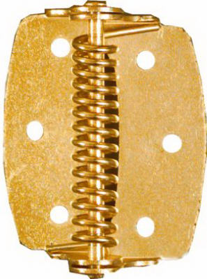 Spring Hinge, Brass, 2 In., 2-Pk.