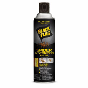 Spider & Scorpion Killer, 16-oz. Aerosol