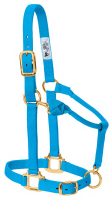 Snap Halter, Blue, 1 In., Average-Size Horse