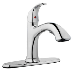 Kitchen Faucet with Pull-Out Spray, Single Loop Handle, Chrome