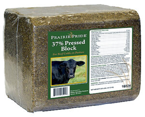 Cattle Supplement Range Block, 33-Lbs.